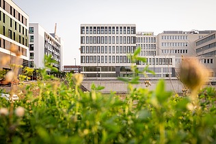 A picture of the finished Moiré project in Luxembourg