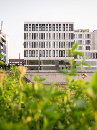 Foto der Grünfläche um das Projekt Moiré in Belvaux