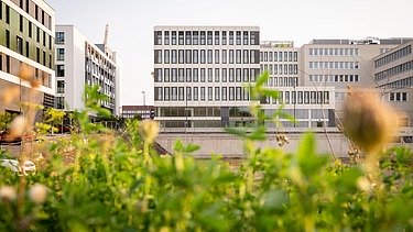 A picture of the finished Moiré project in Luxembourg